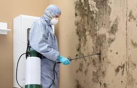 Best Real Estate Mold Inspection  in USA